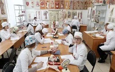 Обязательная отработка для выпускников-медиков: что изменится и как это повлияет на будущих врачей